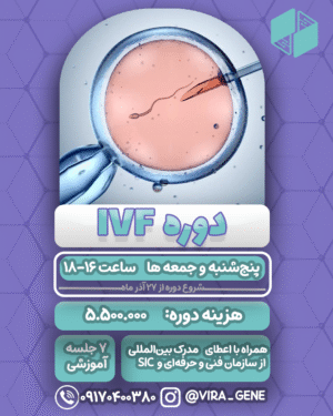 دوره IVF