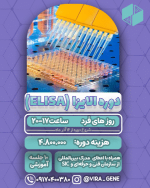 دوره الایزا